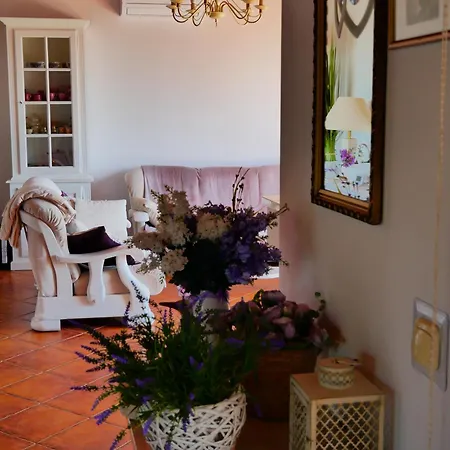 Villa Family House