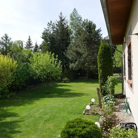 Family House Villa